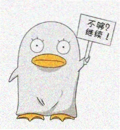读者沈迟头像